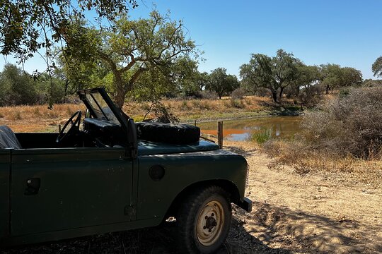 Land Rover Cork Safari Experience Pack — photograph 5