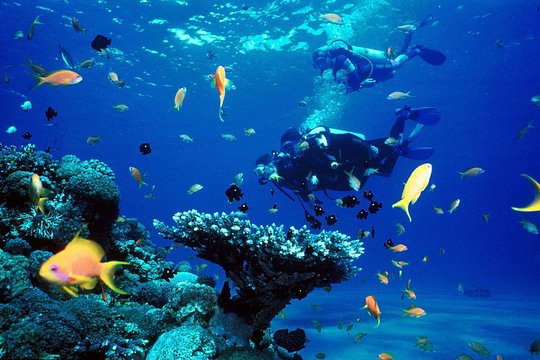 SCUBA DIVE: Kallithea's Underwater Exploration — photograph 3