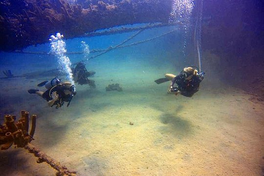 Aruba Private Scuba Diving for Non certified divers! max 40 ft. — photograph 5