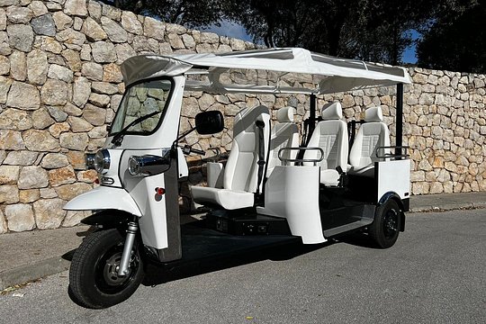 Private E-Tuk Tour from Polače to National Park — billede 4