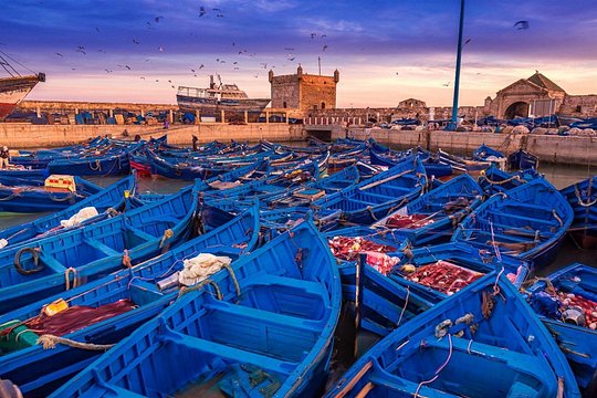 Essaouira one day trip From Marrakech — photograph 3
