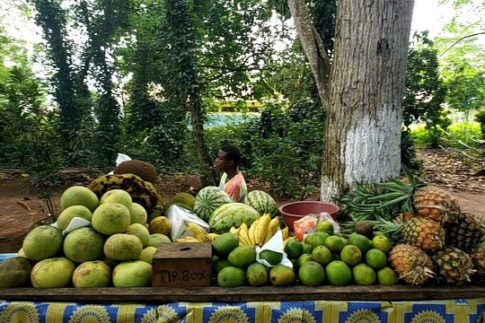 Experience Zanzibar Island — Foto 4