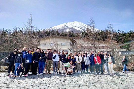 Mt Fuji and Hakone 1-Day Bus Tour Return by Bullet Train — photograph 3