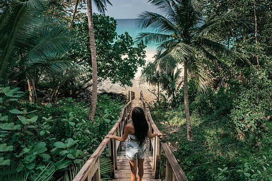 Phuket Beach Plane Spotting and Monkey Cave Temple Private Tour — billede 3