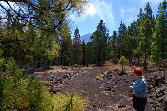 Hiking Classic Tenerife — billede 5