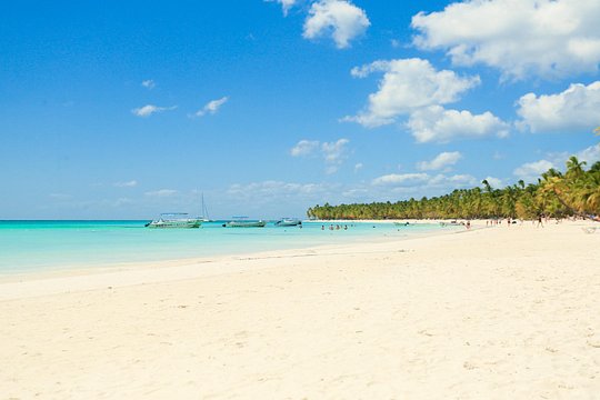 Full Day Excursion to Isla Saona from Santo Domingo — foto 4