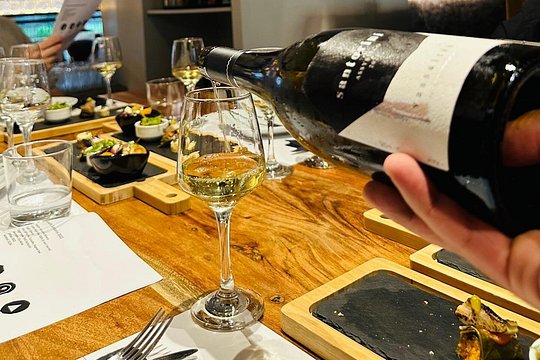 Greek Wine Tasting with Acropolis view — photograph 2