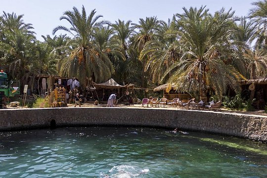 Exploring the Enchanting Siwa Oasis From Cairo — photograph 3