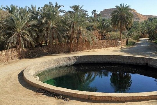 Exploring the Enchanting Siwa Oasis From Cairo — photograph 5