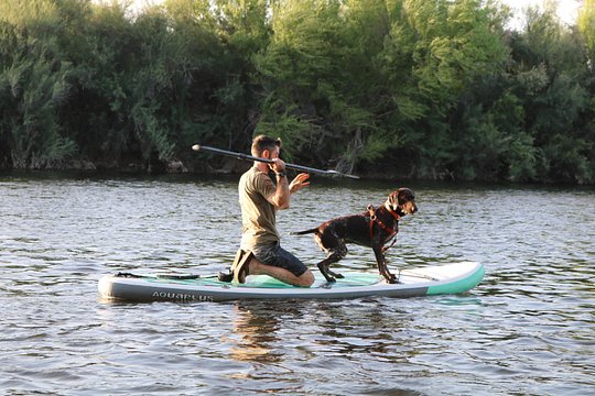 Rent a Paddle Board And Float the Lower Salt River — billede 3