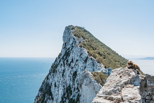 From Malaga, Gibraltar excursion with transport — photograph 2