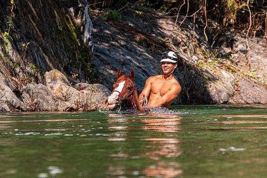 Horse Tour — fotografia 5