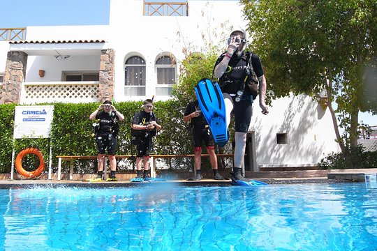 2-Day SSI Scuba Diver Certification – All-Inclusive Course — photograph 5