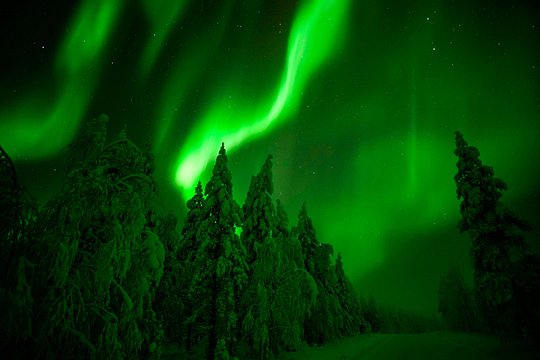 Northern Lights Snowmobile Tour — foto 3