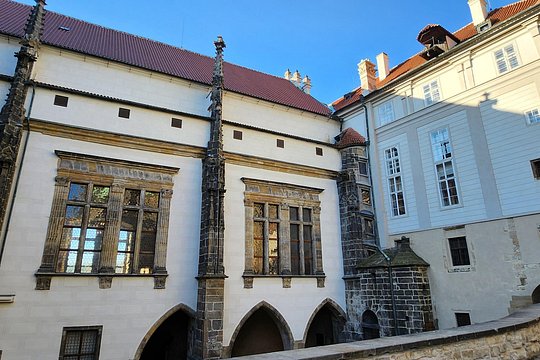 Prague Castle Private Walking Tour — photograph 5