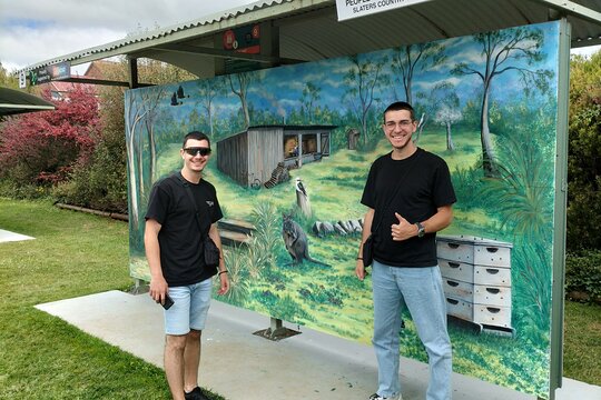 Devonport Sheffield Burnie Shore Excursion Sightseeing — bilde 2