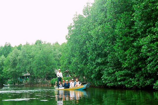Full-Day Can Gio Mangrove Private Guided Forest Exploration — photograph 3