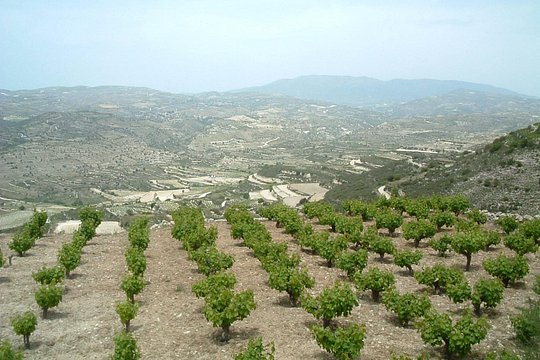 Shared Monolithos Boutique Winery Tour — photograph 2