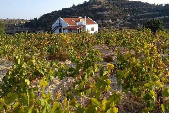Shared Monolithos Boutique Winery Tour — photograph 3