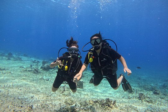 Try diving without previous experience from shore — billede 4