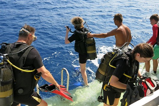 Scuba Diving Experience Tour from Side — صورة 2