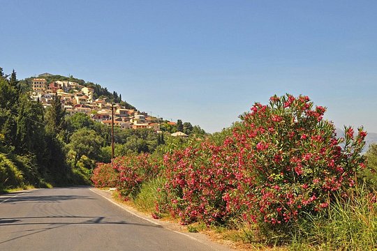 Private Shore Excursion Visit in Corfu with private driver. — photograph 2