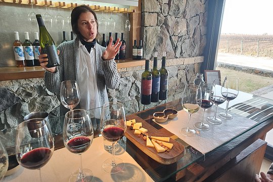 Luján Wine Tasting Guided Experience with Lunch — photograph 3
