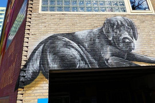 Self Guided 2 Hour Mural City Route Arnhem — photograph 3