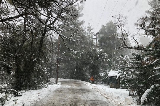 Private Athens Escape in Parnitha Mountain Park — photograph 2