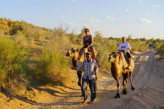 Desert Yurt Camp tour - 2 days (shared) — billede 2