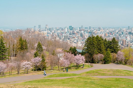 Sapporo Private Customizable Half Day Tour — billede 2