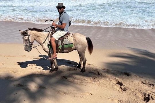 Horseback Riding on the Beaches Fields and Forests of Punta Cana — photograph 3