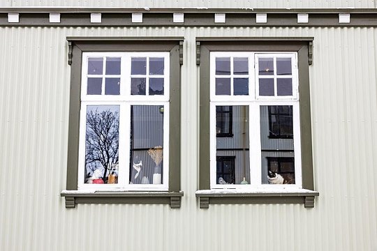 The Reykjavik Cat Walking Tour — photograph 4