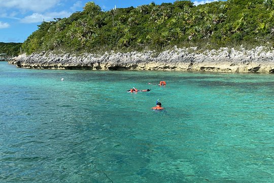 5 Hours Pigs and Turtles with Beach Stop in Bahamas — photograph 3