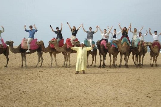 Tangier Camel Ride On The Beach — photograph 3