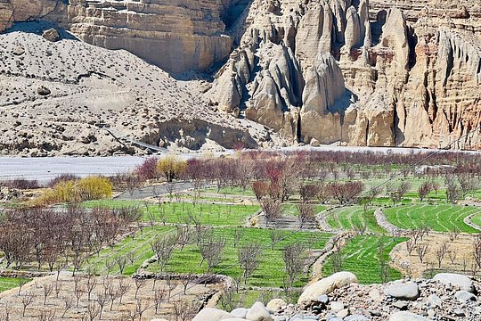 Jeep Trip to Upper Mustang — foto 2