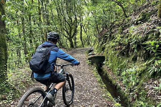 Easy Levada Biking Tour — photograph 4