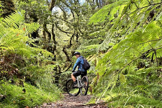 Easy Levada Biking Tour — photograph 5