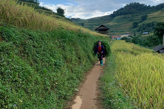 Private One Day Excursion in Mai Chau — billede 3