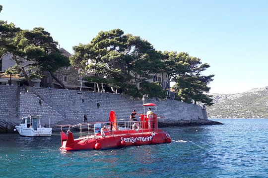 Korcula Semisubmarine Tour — photograph 3