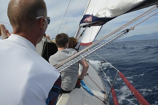 Split: Small-Group Half Day Sailing Trip — photograph 5