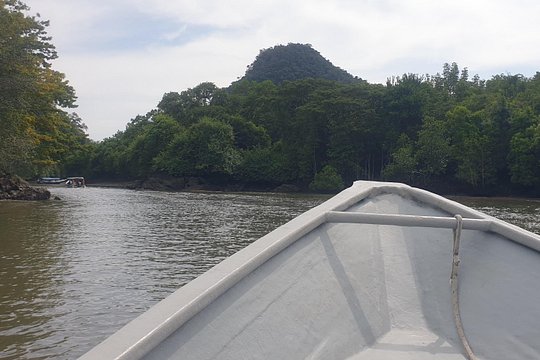 Private Mangrove Tour, Beach & Refreshing Waterfall — photograph 2