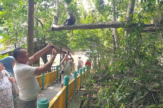 Private Mangrove Tour, Beach & Refreshing Waterfall — photograph 5