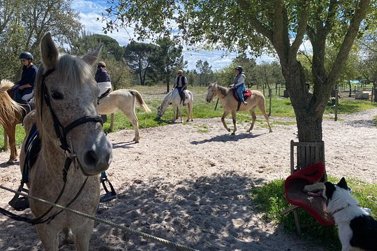 Horseback riding on Melides Beach — foto 2