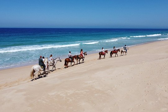 Horseback riding on Melides Beach — foto 4