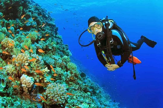 Guided Shore Scuba Diving at 2 Dives — foto 2