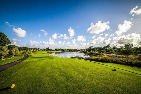 La Cana Golf Package Punta Cana — photograph 5