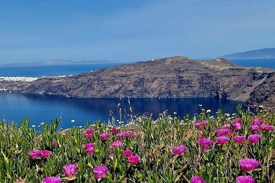 Be in Santorini Experiential Tour — photograph 3