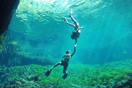 Ride to a life changing cenotes tour — photograph 3