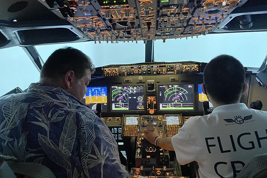 Tokyo Customized Tour & Flight Simulator with Licensed Guide — billede 3
